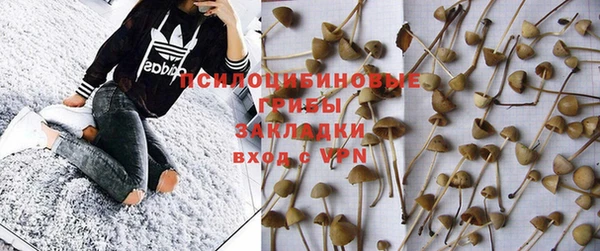бутират Мегион